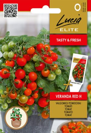 Potitomat ‘Veranda Red H’