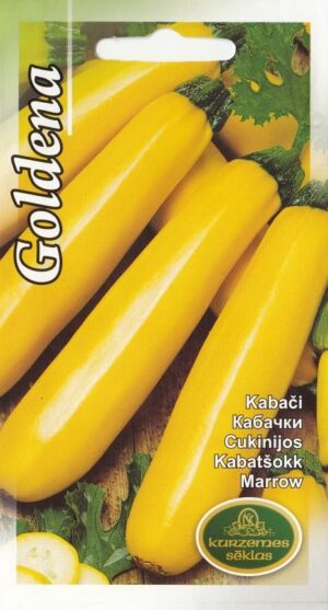 Kabatšok ‘Goldena’ 1g