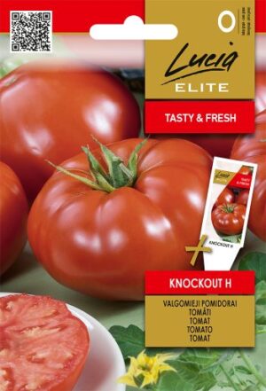 Tomat ‘Knockout H’