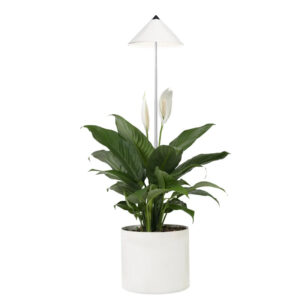 Taimelamp Sunlite 7W 120° valge