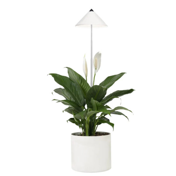 Taimelamp Sunlite 7W 120° valge