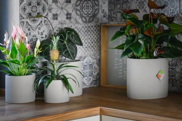 Lillepott Rustic Ø23x h22cm hall