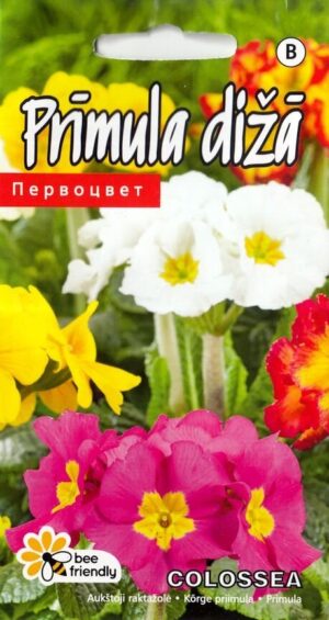 Kõrge priimula ‘Colossea’ 0,1g