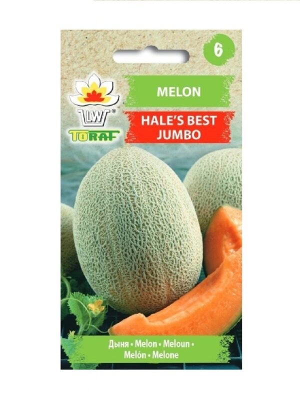 Melon 'Hale's Best Jumbo' 1g