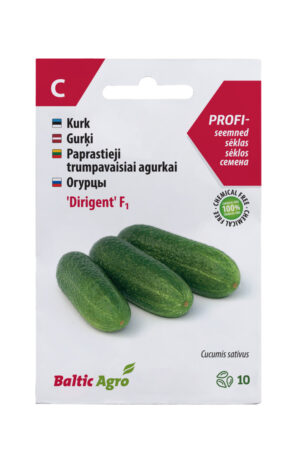 Kurk ‘Dirigent’ 10s