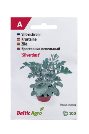 Vilt-ristirohi ‘Silverdust’ 100 pilli