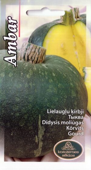 Kõrvits ‘Ambar’ 1g