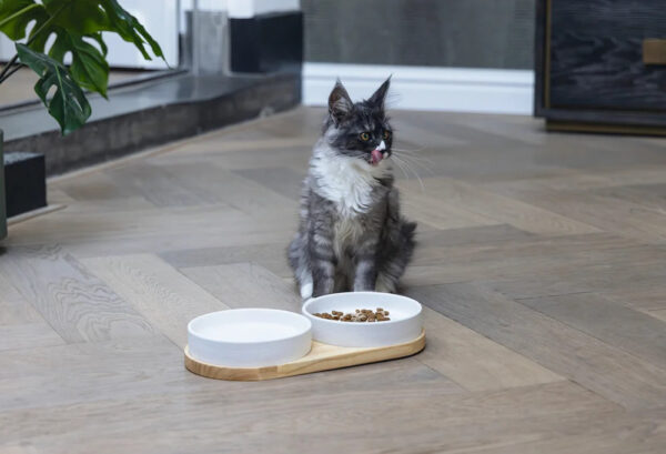 Sööginõu kassile Lojs alusel valge 2x400ml