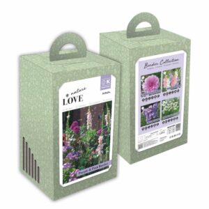 Lillesibulate kinkekomplekt Border Collection – Lilla ja roosa 30tk