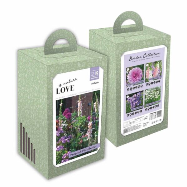 Lillesibulate kinkekomplekt Border Collection - Lilla ja roosa 30tk
