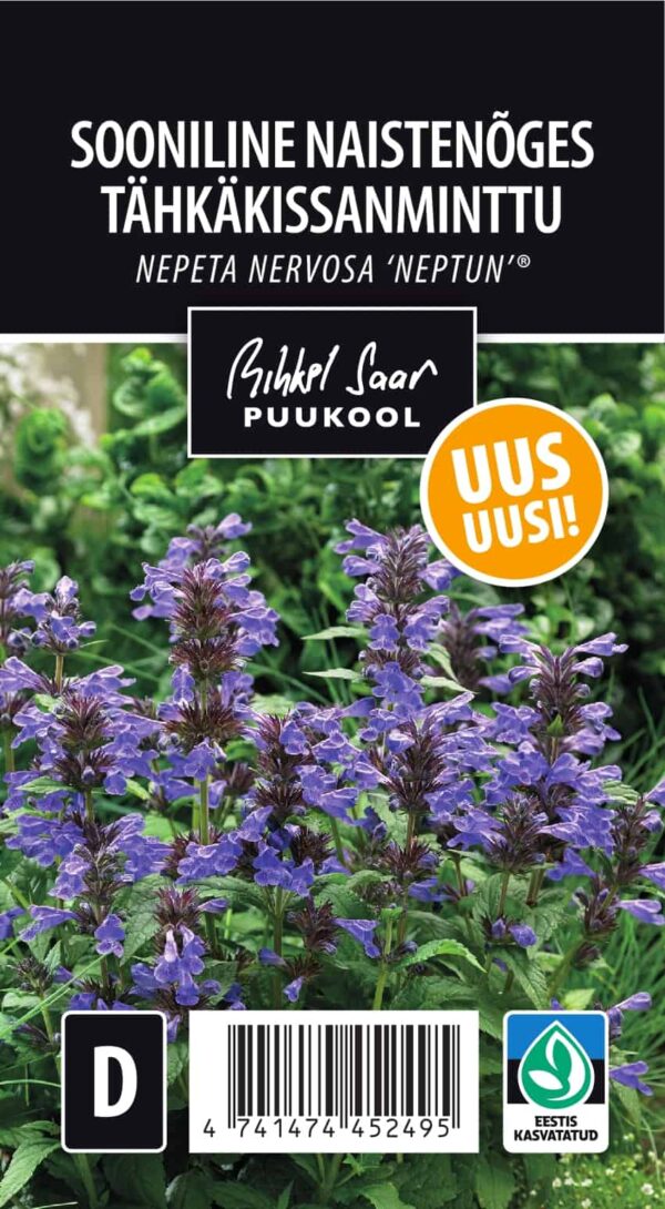 Sooniline naistenõges 'Neptun' P17 Eestis kasvatatud