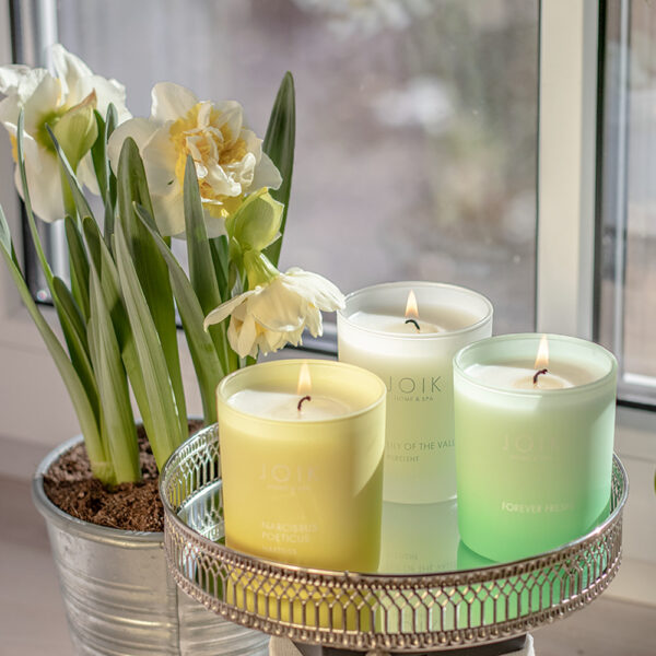 Joik Home & Spa lõhnaküünal Piibeleht 150g