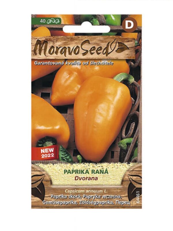 Magus pipar 'Dvorana'