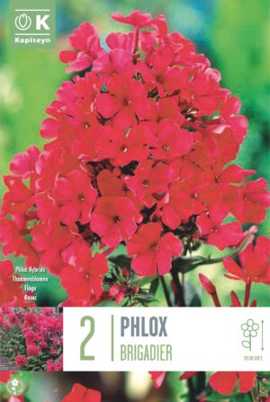 Leeklill ‘Brigadier’ 2tk