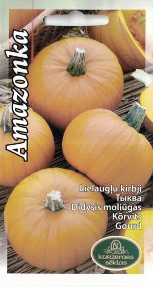 Kõrvits ‘Amazonka’ 1g