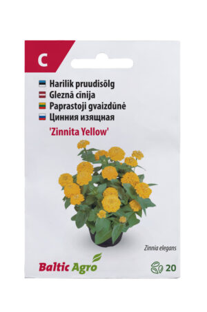 Pruudisõlg ‘Zinnita Yellow’ 20s