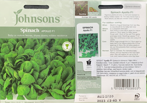 Spinat 'Apollo'