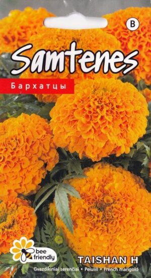 Peiulill ‘Taishan H’ 10s oranž