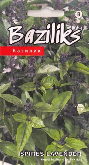 Basiilik ‘Spires Lavender’ 20s