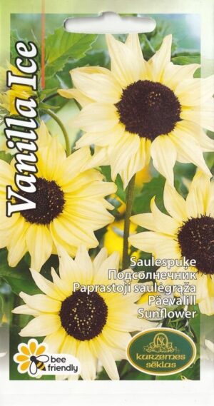 Päevalill ‘Vanilla Ice’ 1g