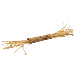 Mänguasi kassile pulk Rafo