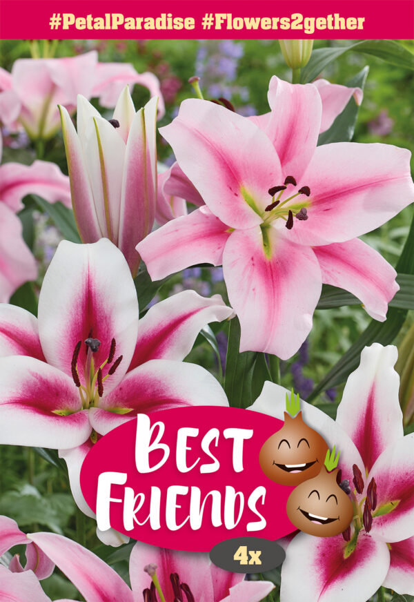 Best Friends #PetalParadise liilia 4tk