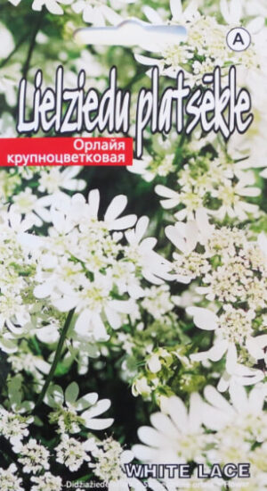 Suureõieline orlaia ‘White Lace’