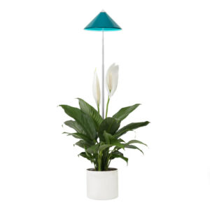 Taimelamp Sunlite 7W 120° sinine