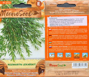 Harilik rosmariin 60s