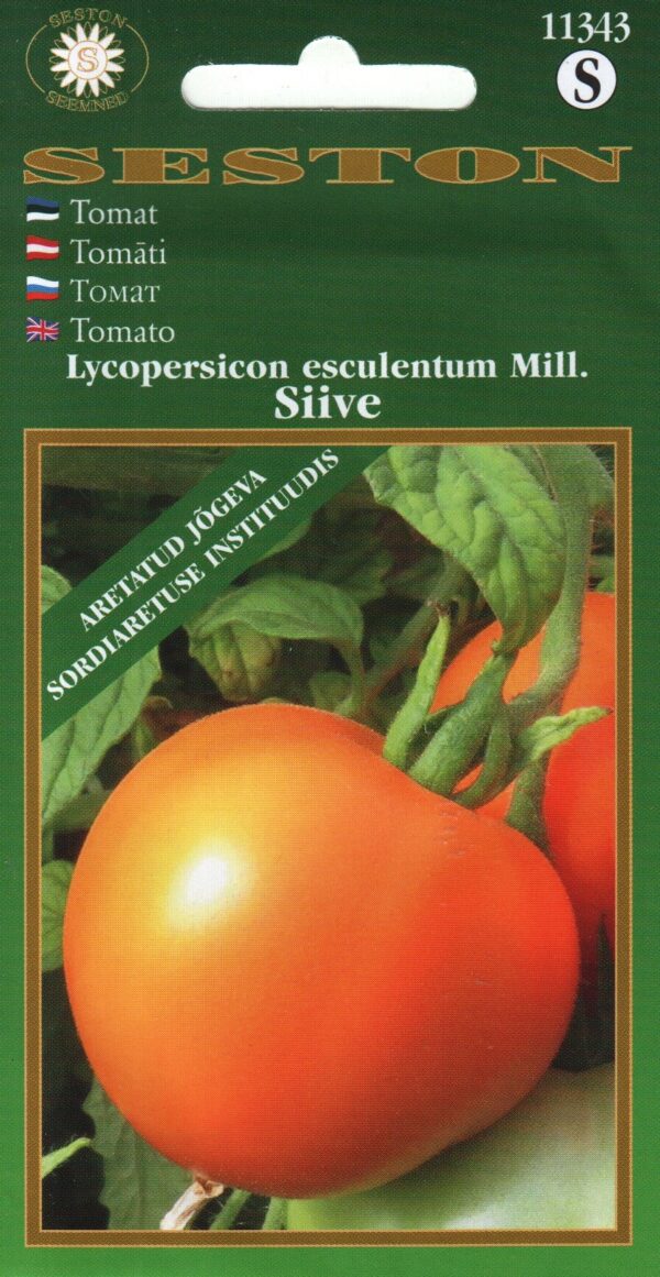 Tomat 'Siive' 0,1g