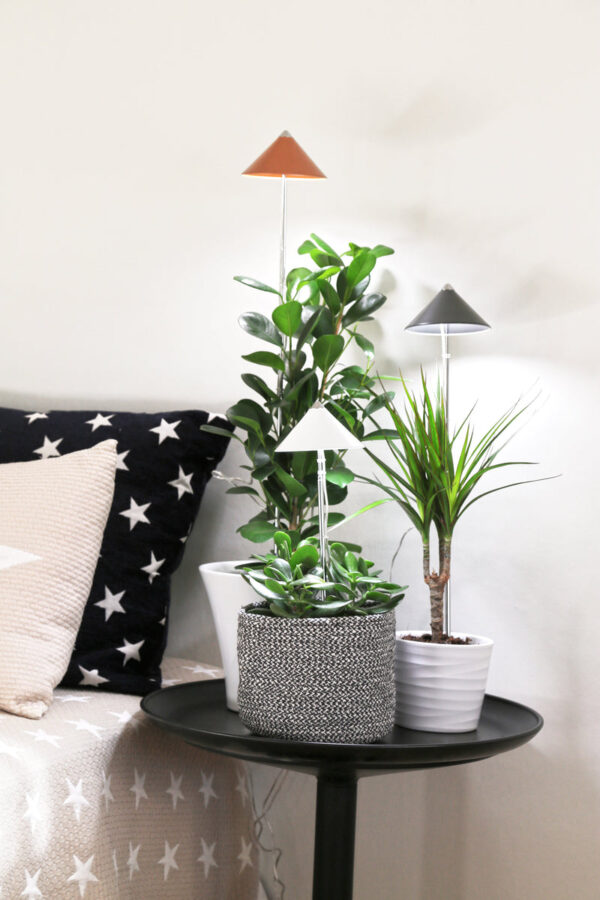 Taimelamp Sunlite 7W 120° must