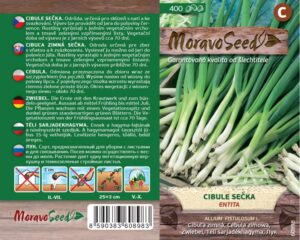 Pealsesibul ‘Entita’