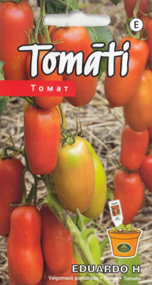 Tomat ‘Eduardo H’ 0,1g