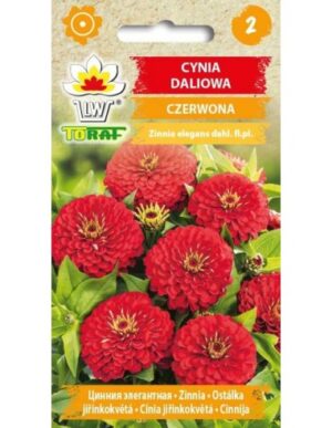 Pruudisõlg 1g punane