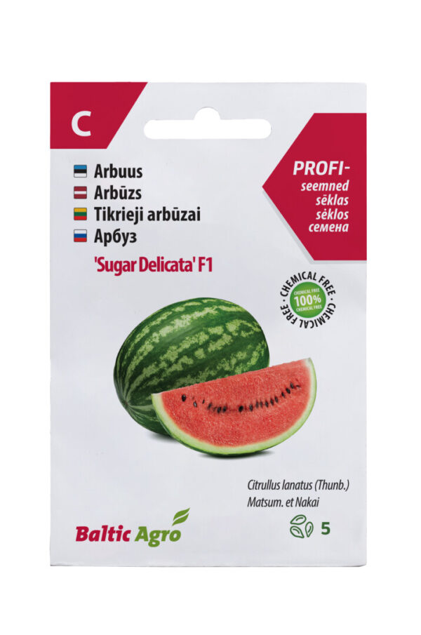 Arbuus 'Sugar Delicata' F1, 5s
