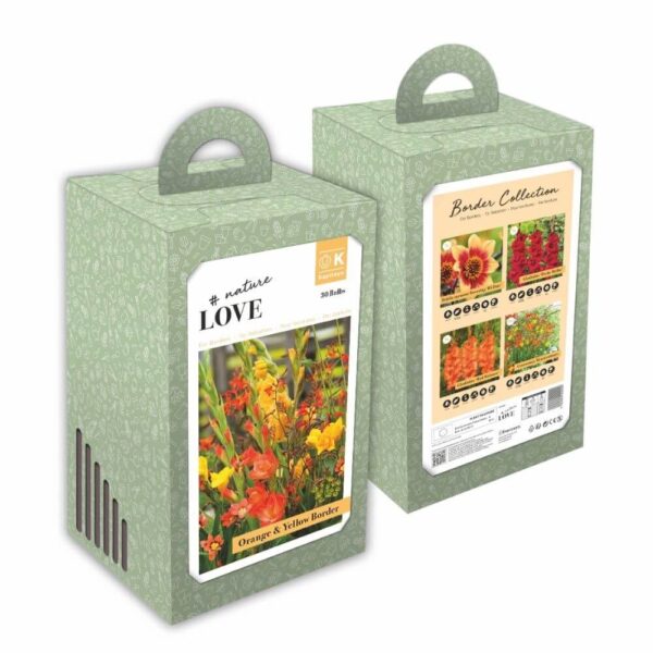 Lillesibulate kinkekomplekt Border Collection - Kollane ja oranž 30tk
