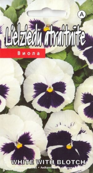 Võõrasema ‘White with blotch’ 0,2g