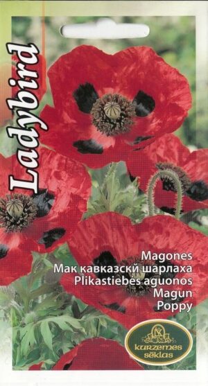 Magun ‘Ladybird’ 0,1g