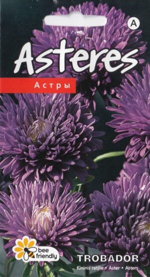 Aster ‘Trobador’ 0,2g lilla