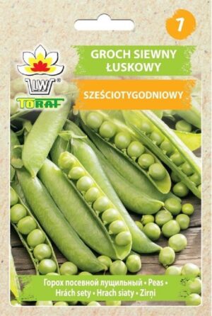 Aedhernes ‘Szesciotygoniowy’ 50g