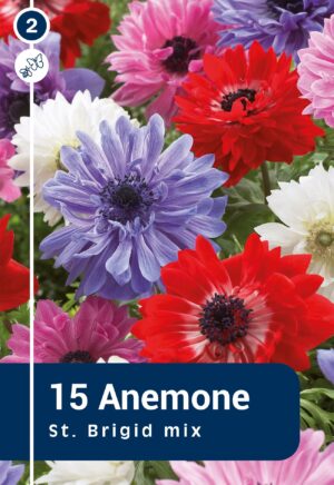 Kroonülane segu St. Brigid 15tk