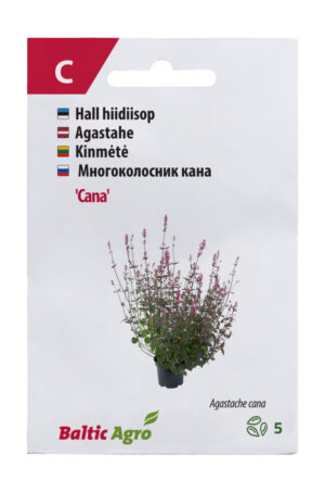 Hiidiisop ‘Cana’ 5s