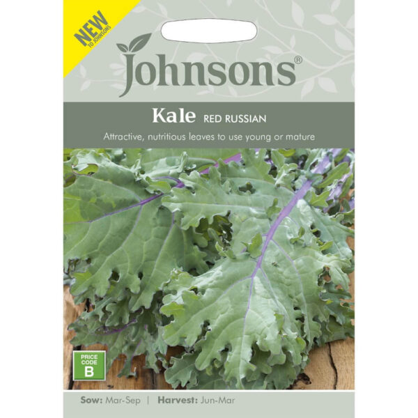 Lehtkapsas 'Red Russian'