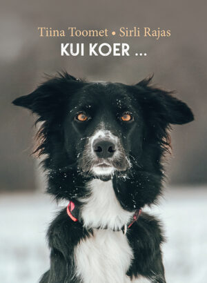 Kui koer …