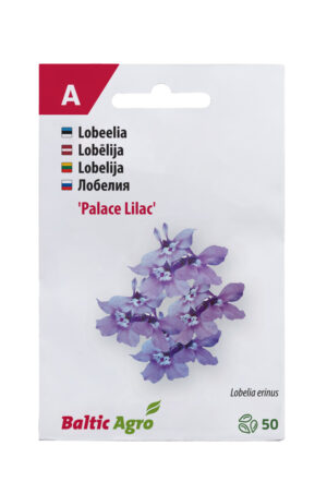 Lobeelia ‘Lilac Palace’ 50 pilli