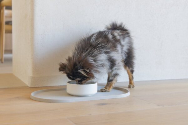 Sööginõu koerale Lojs valge Ø13,5x5cm 430ml