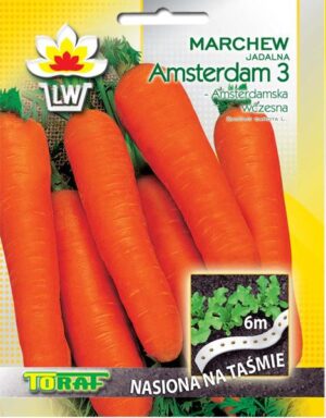 Porgand ‘Amsterdam 3’ seemnelindil 6m