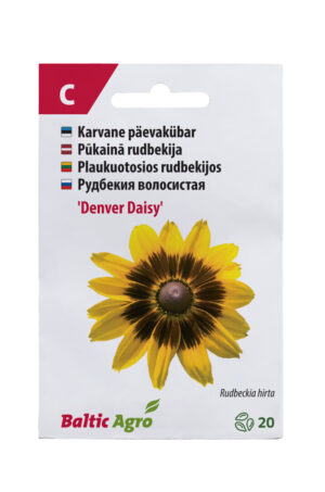 Karvane päevakübar ‘Denver Daisy’ 20s