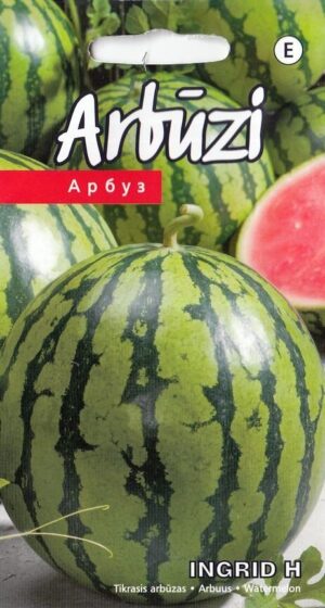 Arbuus ‘Ingrid’ H 5s