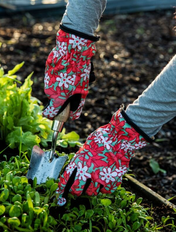 Nelson Garden aiakindad Anemone punane 8